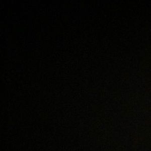 Meet your Posher, Paige